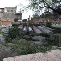 Column Shafts and Fragments - Exterior: View of Column Shafts and other fragments near the Basilica Aemilia looking east towards the Arch of Titus