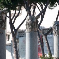 Trajan's Forum - View of the Corinthian Capitals of the colonnade of the Basilica Ulpia in Trajan's Forum looking west