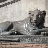 Lion of Nectanebo - View of a Lion of Nectanebo in the Cortile Della Pigna in the Vatican Museum 