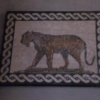 Leopard Mosaic - View of a Leopard Mosaic in the Vatican Museums