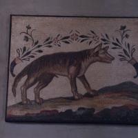 Wolf Mosaic - View of a Wolf Mosaic in the Vatican Museums