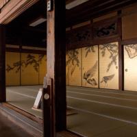 Daijoji - Kyakuden (Guest Hall) Interior: View of Peacock Room