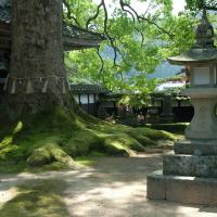 Daijoji - Exterior: Courtyard