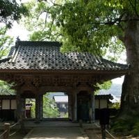 Daijoji - Exterior: Gate