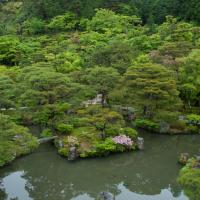 Ginkakuji - Exterior: View of Pond from Kannon-den (Ginkaku or Silver Pavilion)