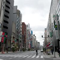 Ginza District - Street View
