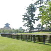Kofukuji - Exterior: Looking north toward the Goju-no-to (Five Storied Pagoda)