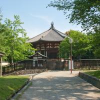 Kofukuji - Exterior: Looking East towards the Nanendo (Southern Octagonal Hall)