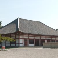 Kofukuji - Exterior: Kondo