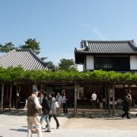 Kofukuji - Exterior: Structures near the Nanendo (Southern Octagonal Hall)