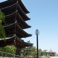Kofukuji - Exterior: Looking south towards Nanendo (Southern Octagonal Hall) with Gojunoto (Five Storied Pagoda), at left