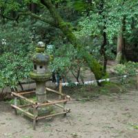 Muroji - Exterior View: Stone Lantern