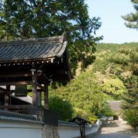 Nanzenji - Exterior: Bell Tower and Perspective View