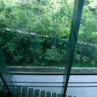 Nezu Museum - Interior: Window and Staircase