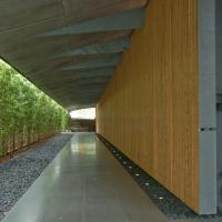 Nezu Museum - Exterior: Bamboo Path