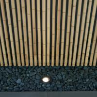 Nezu Museum - Exterior: Bamboo Path Detail