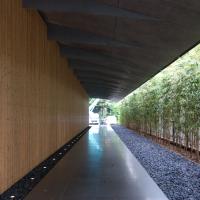 Nezu Museum - Exterior: Bamboo Path 