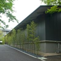 Nezu Museum - Exterior: Driveway