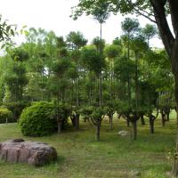 Nijo Castle - Exterior: Honmaru Garden