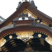 Nijo Castle - Ninomaru Palace, Exterior: Entrance Detail