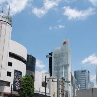 Harajuku District - Exterior: Street View, View down Meiji Dori Avenue