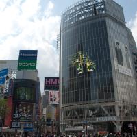 Shibuya District - Exterior: Street View