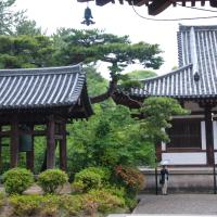 Toshodaiji - Shoro (Bell Tower), View from Kondo (Golden Hall, Main Hall) West Porch
