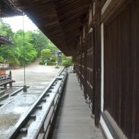 Toshodaiji - Raido (Whorship Hall)/Higashimuro (Eastern Preist's Quarters), Exterior: Veranda looking South