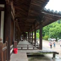 Toshodaiji - Raido (Whorship Hall)/Higashimuro (Eastern Preist's Quarters), Exterior: Veranda looking North