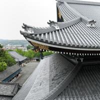 Higashi Honganji  - Goeido (Founder's Hall), Exterior: Roof Detail viewed from Amidado (Amida Hall) Temporary Structure
