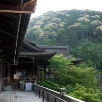 Kiyomizudera - Exterior: Colonnade from Todorokimon Gate to Asakurado (Asakura Hall) and Hondo