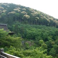 Kiyomizudera - Exterior: View from Hondo Stage