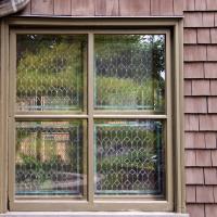 Frank Lloyd Wright Home and Studio - Exterior window