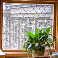 Frank Lloyd Wright Home and Studio - Interior: Living room window
