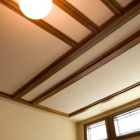 Frank Lloyd Wright Home and Studio - Interior: Nursery ceiling