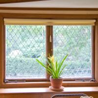 Frank Lloyd Wright Home and Studio - Interior: Nursery window