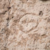 Bandelier National Monument  - Detail: Petroglyph 