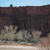 Canyon de Chelly National Monument  - Cliff Wall 