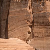Canyon de Chelly National Monument  - Petroglyphs Adjacent to Antelope Hunt Petroglyphs 