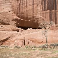 Canyon de Chelly National Monument  - Whitehouse Ruins 