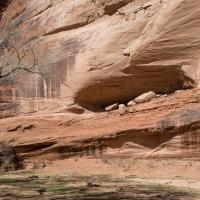 Canyon de Chelly National Monument  - Alcove at Ledge Ruin, Canyon del Muerto 