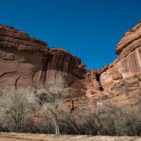 Canyon de Chelly National Monument  - Cliffs in Canyon 