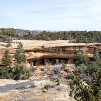 Mesa Verde  - View of Spruce Tree House from West 