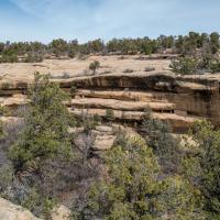 Mesa Verde  - View of Cliffs at Spruce Tree House 