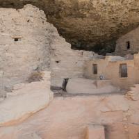 Mesa Verde  -  Kiva Banquette and Surrounding Houses at Spruce Tree house 