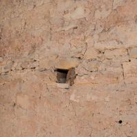 Mesa Verde  - Wooden Support in Brick Wall at Spruce Tree House 