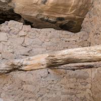 Mesa Verde  - Wooden Supports in House at Spruce Tree House 