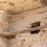 Mesa Verde  -  Wooden Supports in Brick Wall at Spruce Tree  House 