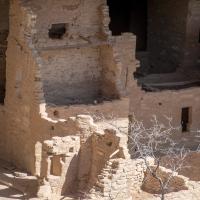 Mesa Verde  - View of Three-Story Building at Spruce Tree House from West 