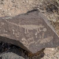 Petroglyph National Monument  - Petroglyph 